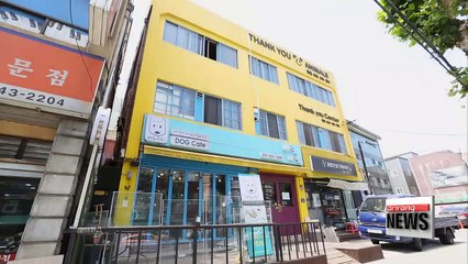 Cultural Changes in Abandoned Pet Protection