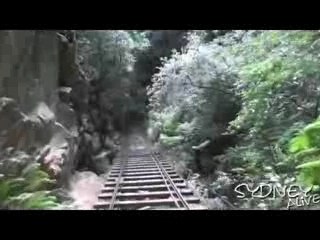 Sydney: Blue mountains