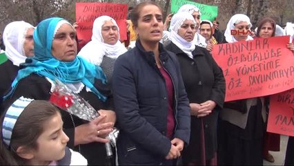 Batman Hdp Batman Milletvekili Başaran, Gözaltına Alındı