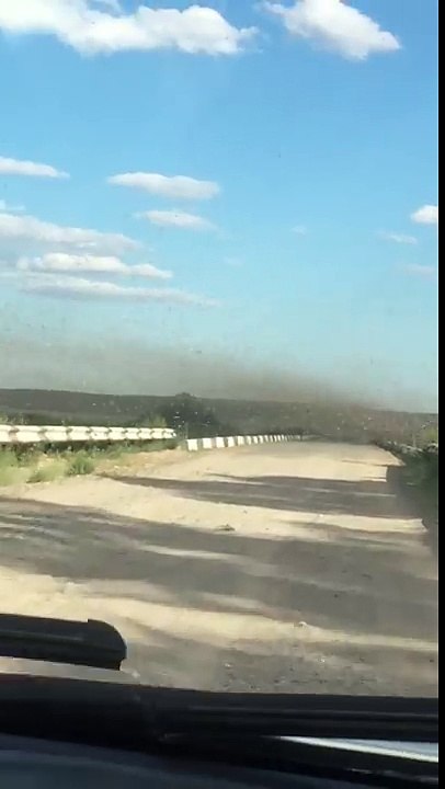 Traverser un essaim de criquets en voiture (Kazakhstan)