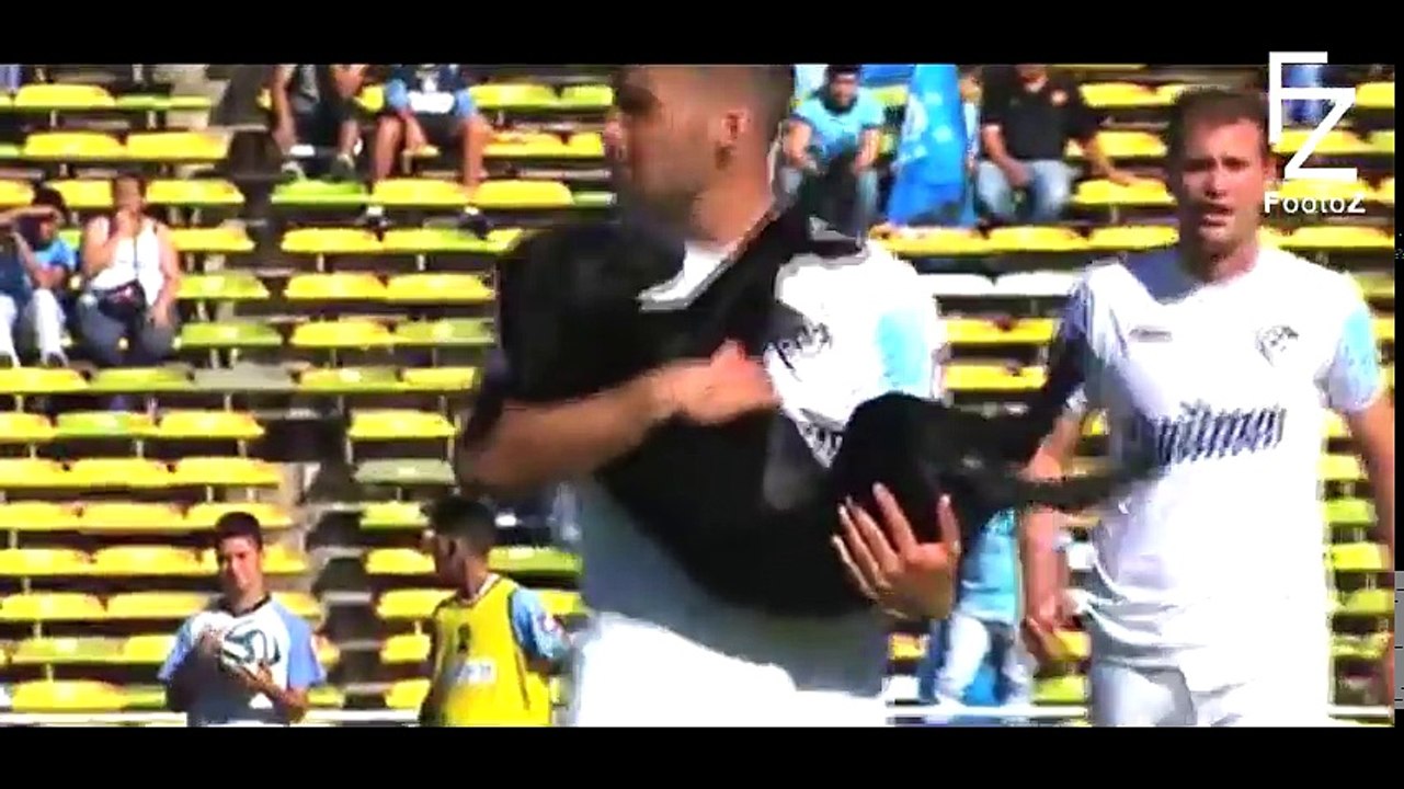 Animals on the Football Pitch ● Funny Moments ● HD ✔️