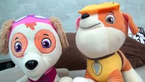 Palmadita pata patrulla del perrito de la nueva serie de Baba Yaga secuestrado cachorros súper juguete patrulla de perrito