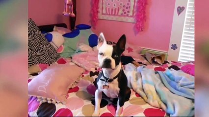 Try not to laugh - Best SEXY GIRL Fails of 2017 - Funny Fail Compilation Part 7-4