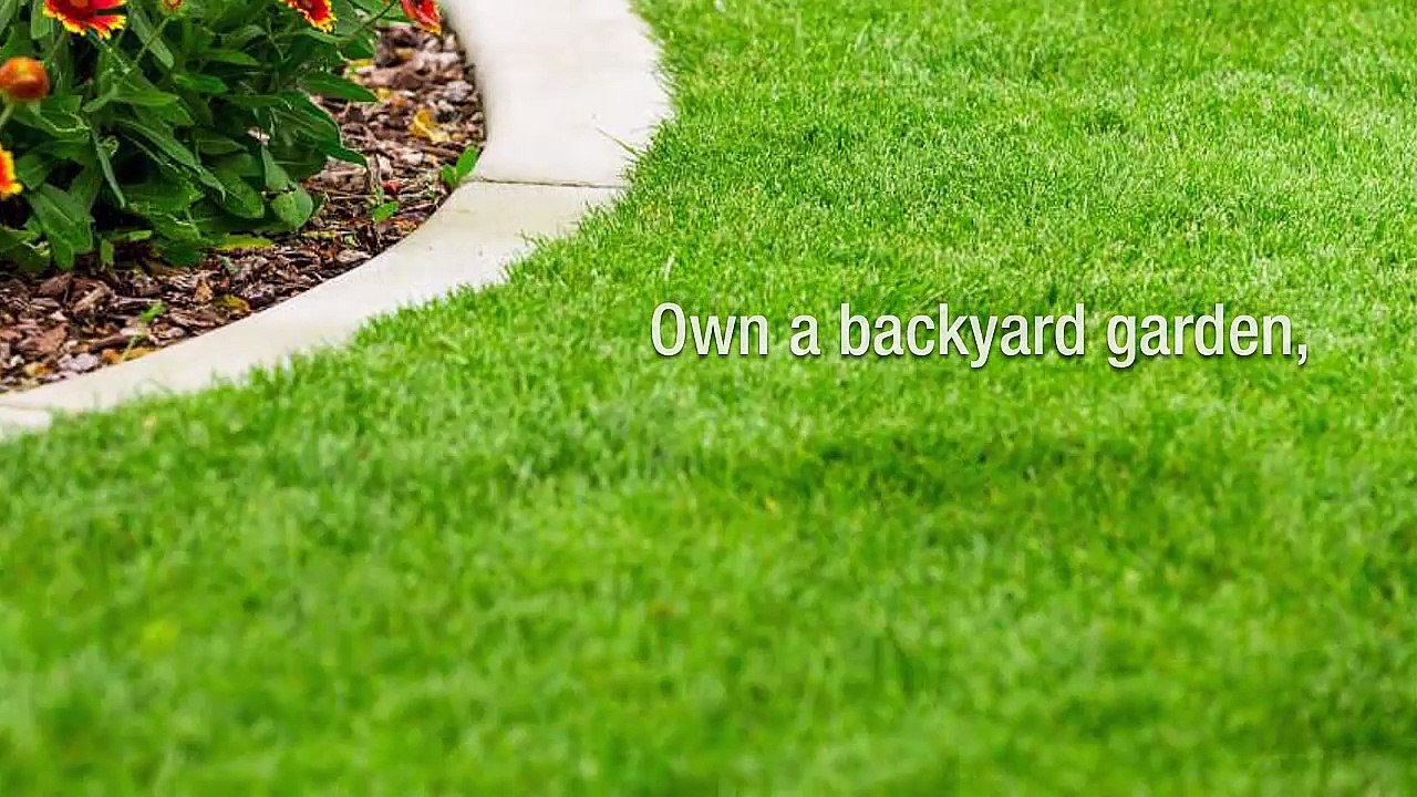 Knowing The Pool Removal Cost