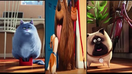 Blazing Samurai - Fragman