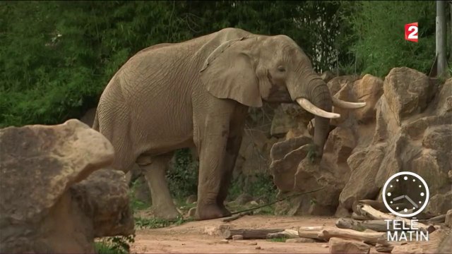 Faune - Sensibiliser, préserver et éduquer les plus jeunes