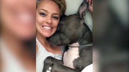 Ce chien est vraiment très mignon quand il se réveille !