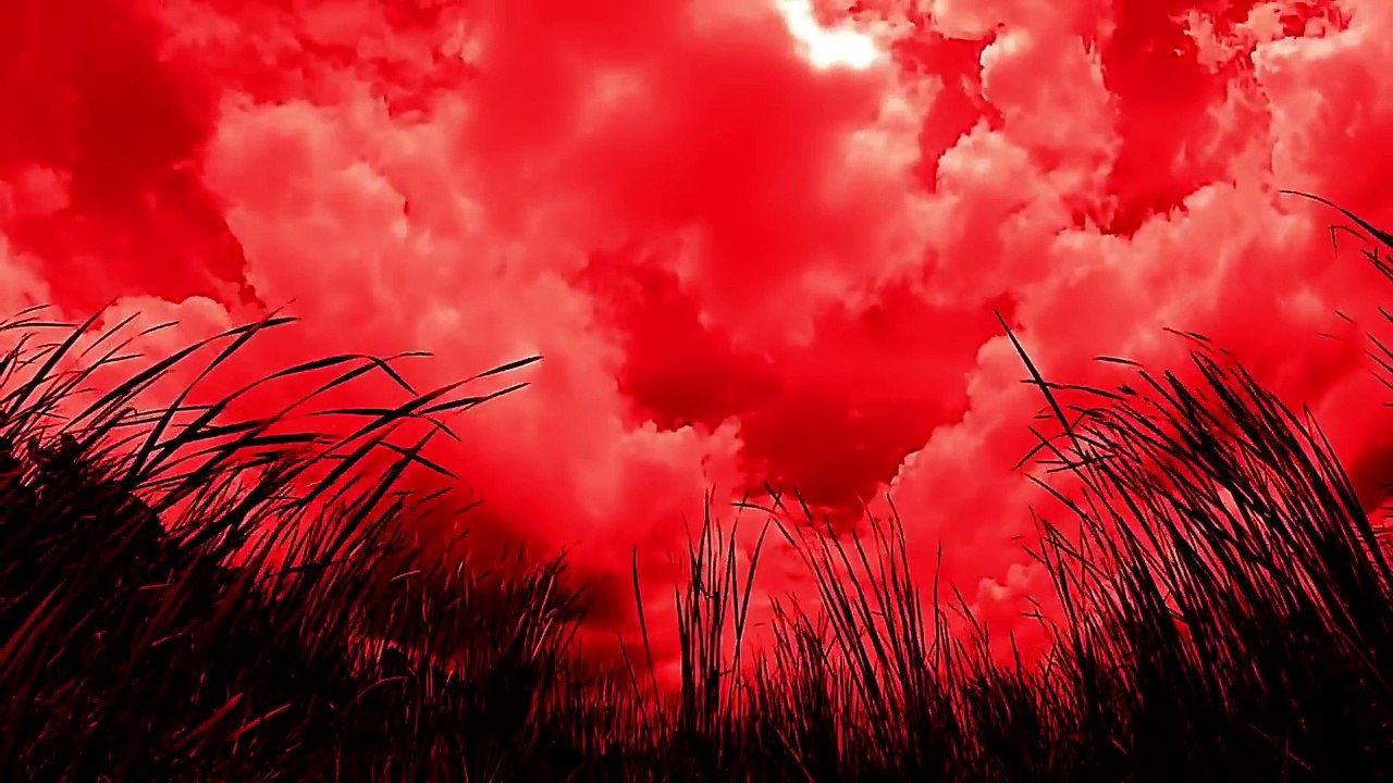 Chetta - Hold Please