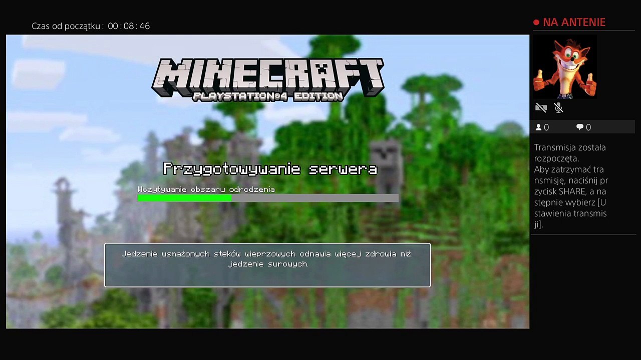 Minecraft (5)