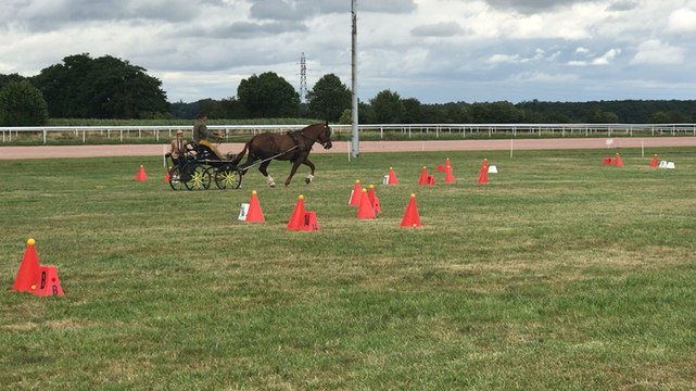 Concours régional d'attelage, épreuve de maniabilité