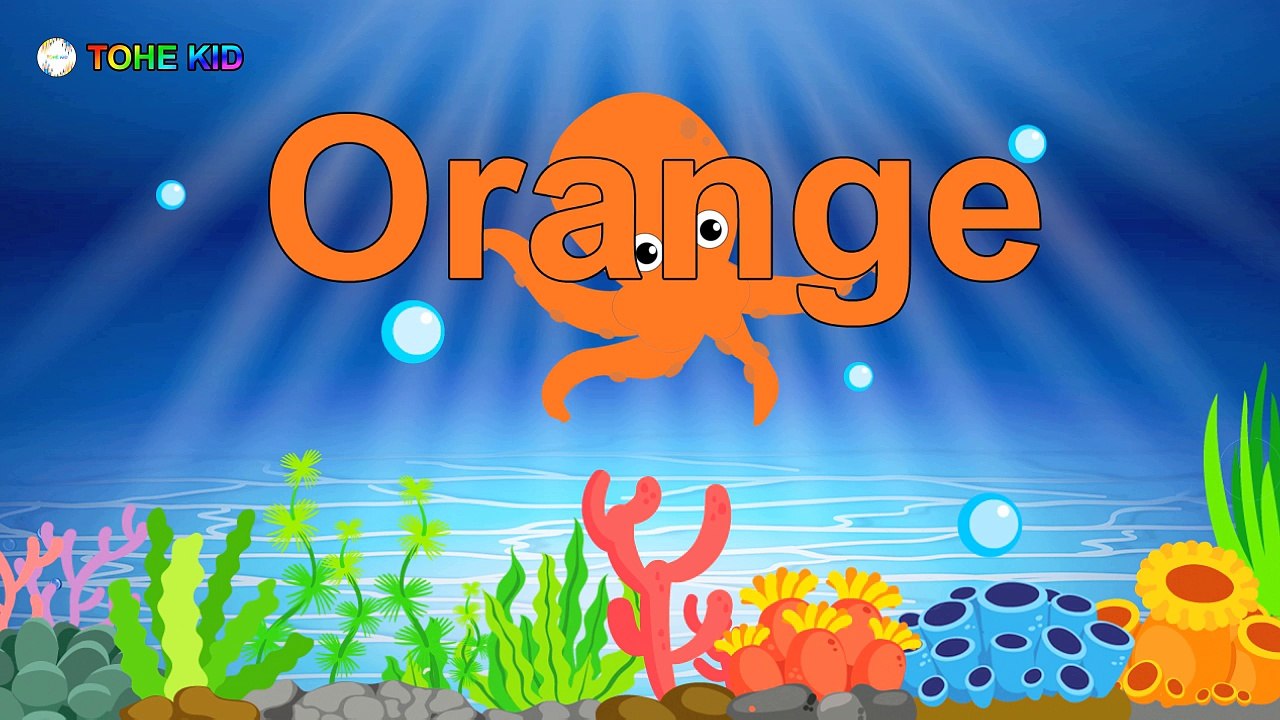Learn Colors With Animals Octopus For Kids Children Toddlers | How To Learn English Animation #learncolors