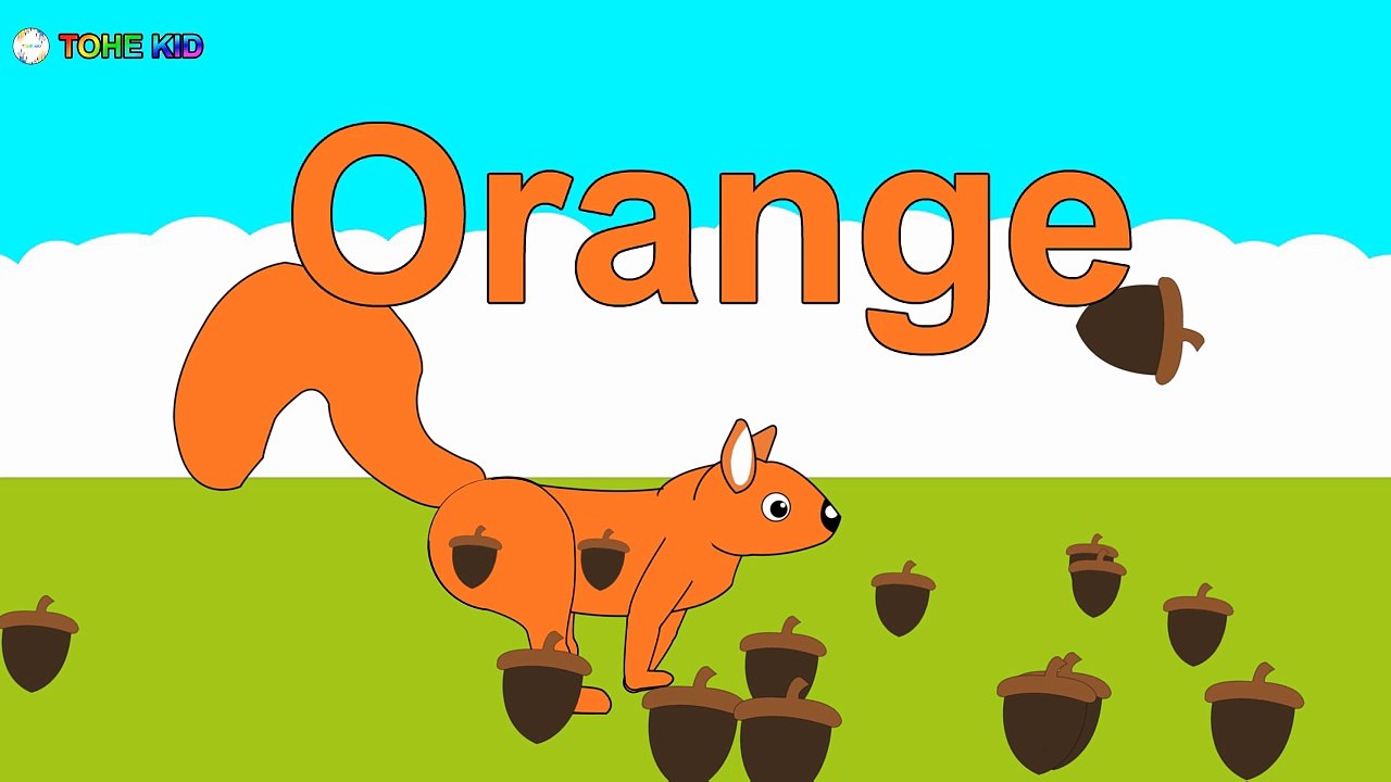 Learn Colors With Animals Squirrel For Kids Children Toddlers | How To Learn English Animation #learncolors