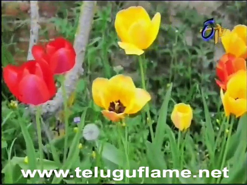 Manasu mamatha - Title Song