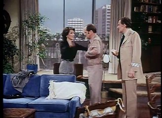 The Bob Newhart Show S05E23 - Shrinking Violence