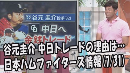 日本ハム 谷元圭介 中日トレードの理由は… 2017.7.31 日本ハムファイターズ情報 プロ野球