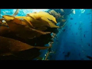 For This You Can Be Sure