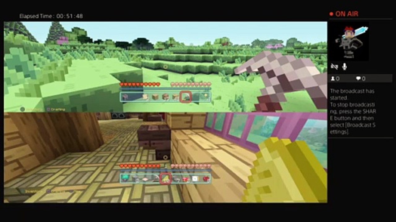Minecraft pros (31)