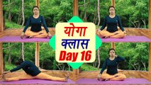 Yoga Class Day 16 | पक्षी आसन, प्राणायाम, चिन मुद्रा  for energy & stamina | 25 day course । Boldsky