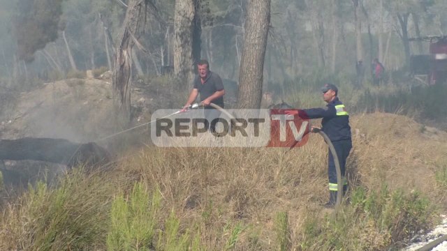 Report TV - Situata e zjarreve, EC: 5 vatra zjarri gjatë 24 orëve në të gjithë vendin