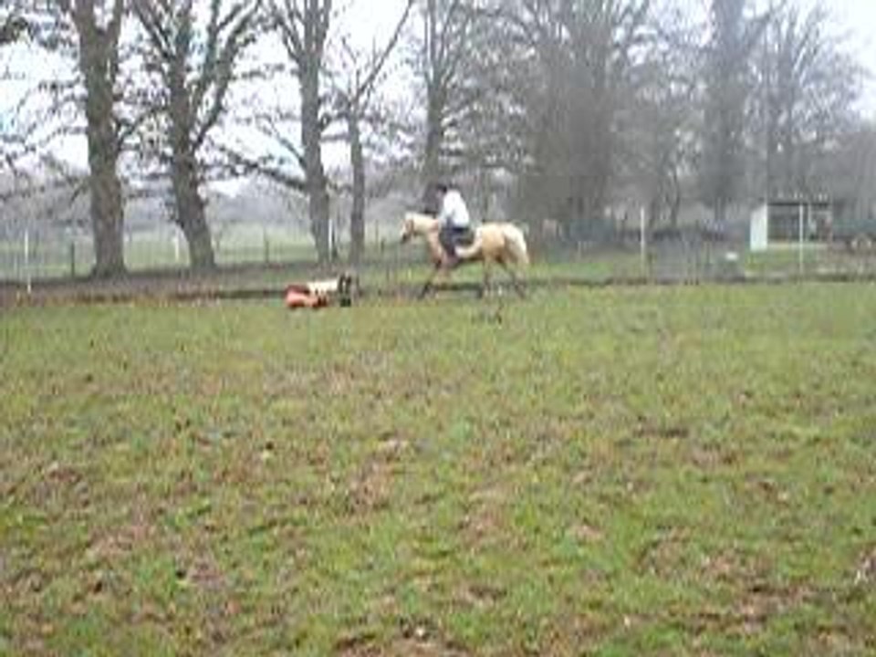 Photo 017