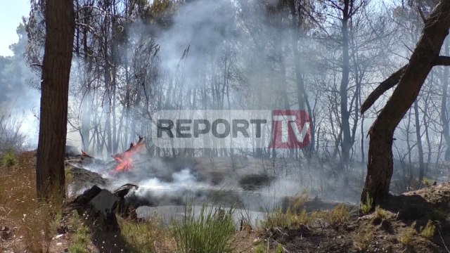 Report TV - Situata e zjarreve, EC: 5 vatra zjarri gjatë 24 orëve në të gjithë vendin