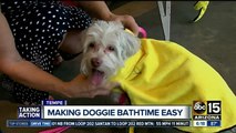 Valley woman selling bath robes for dogs, raising money for shelters