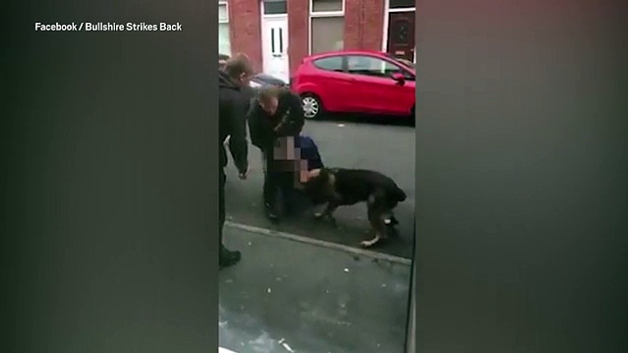 Un mec mord un chien policier à l'oreille en essayant de s'échapper