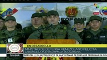 Felicita ministro de Defensa venezolano al pueblo por su civismo