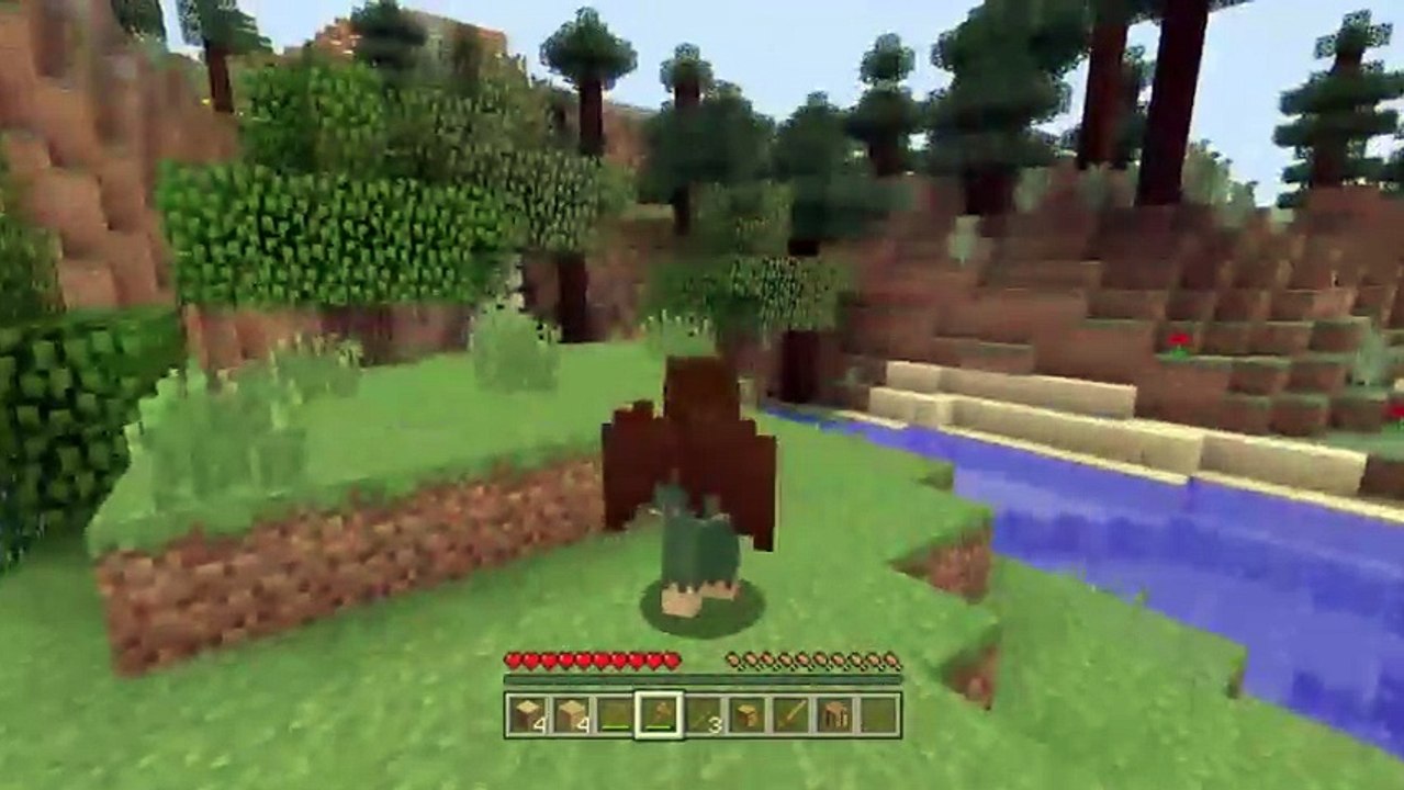 Survival #1 (19)
