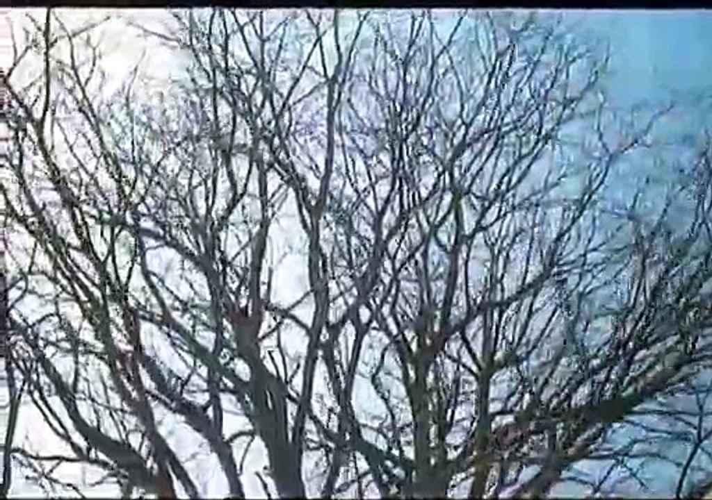 Braca po materi 1988 - Ceo domaci film 2. deo