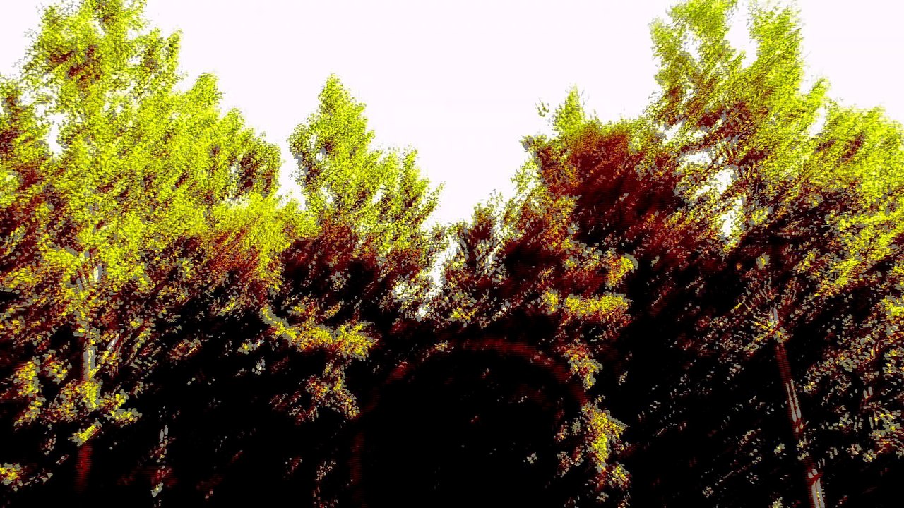 July 31 2017 Fs7