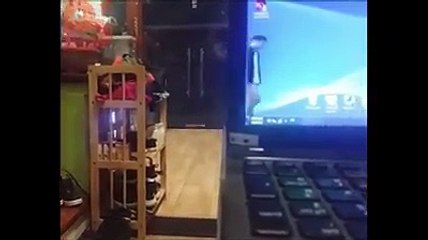 The best of Magic - Boy 2k3 - fan cứng của Zack...