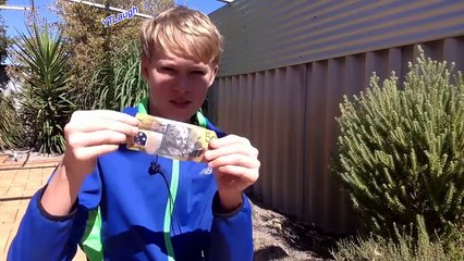 Top awesome magic show in the world - Best magic tricks ever