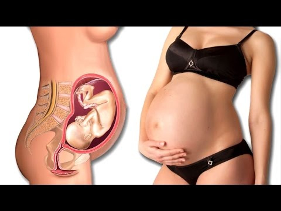 How Getting Pregnant Actually Works