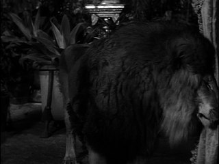 the addams family s02e26