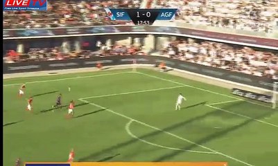 Duncan GOAL HD - Aarhus 1-0 Viborg 28.05.2017