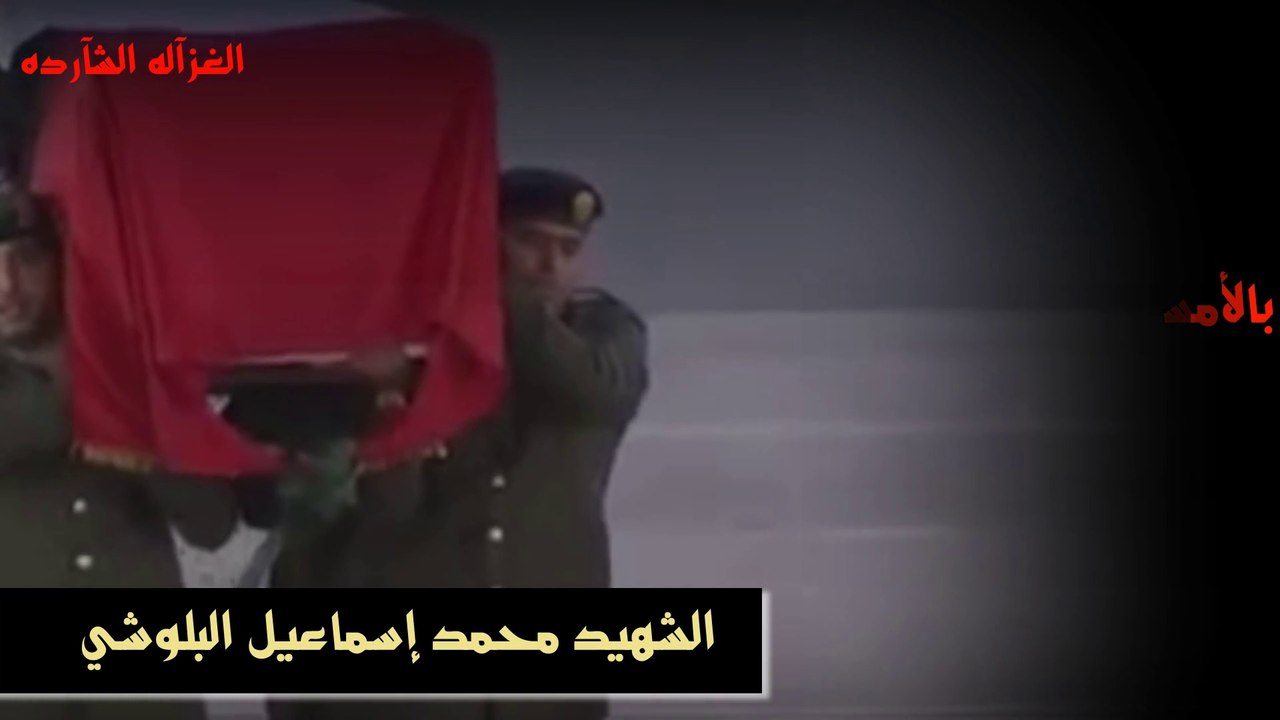 فيني ألم _الشهيد محمد اسماعيل البلوشي