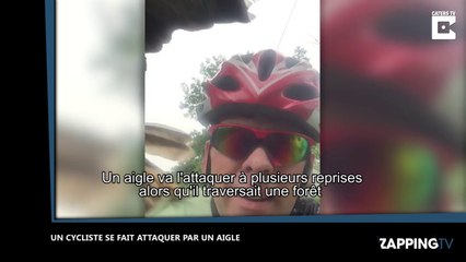 Un aigle attaque un cycliste, les images chocs ! (Vidéo)