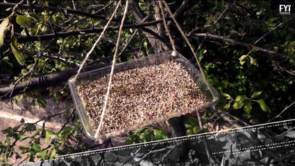 Oceano pode se transformar em mar de plástico