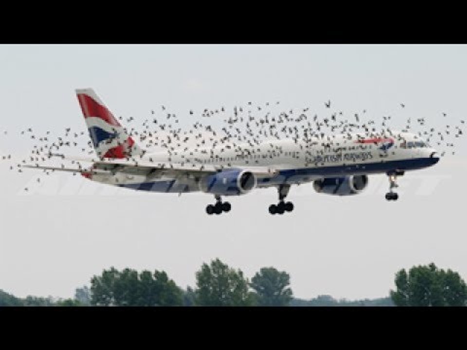 If it were not FILMED, no one would BELIEVE IT | Videos you will not believe