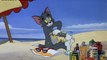 حصريا جميع حلقات كارتون - توم وجيري Tom and Jerry حلقة -42-