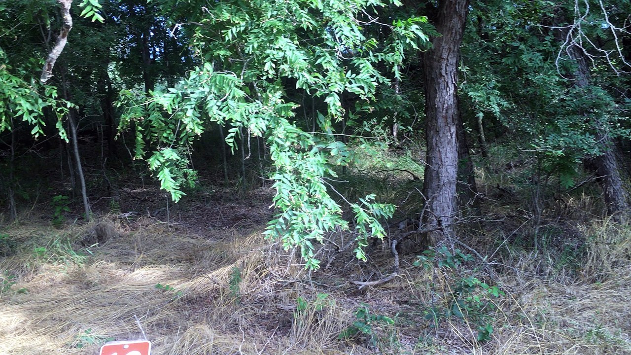 Brian Ghilliotti: Reflections On the Battle of Washita Creek in Oklahoma