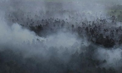 Polisi Periksa 14 Orang terkait Pembakaran Lahan di Aceh