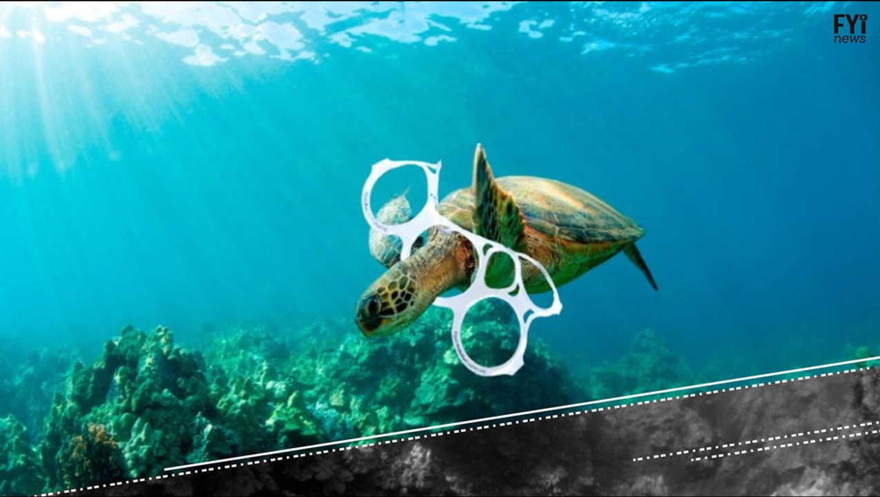 Who Protects International Waters?