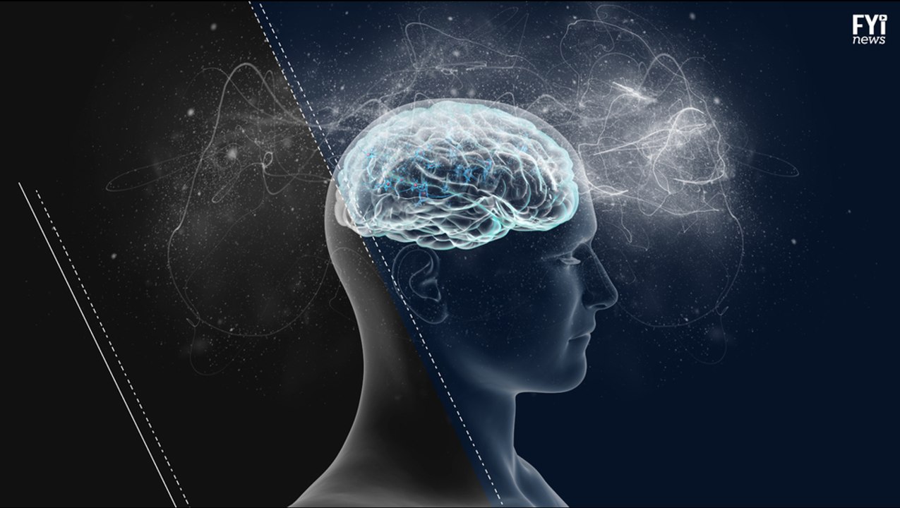 Our Memory Affects Our Decision Making