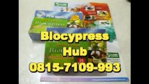 0815-7109-993 (Bpk Yogie) | BioCypress Palu | Biocypress Produk Sulawesi Tengah