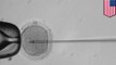 Mendesain bayi; Ilmuwan berhasil mengedit gen embrio manusia - TomoNews