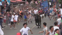 Cientos de personas asisten a corrida de toros por Santo Domingo en Managua