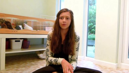 Homemade Guinea Pig Cages   August 2013