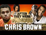 CHRIS BROWN - AFTER They Were Famous - RIHANNA & CHRIS